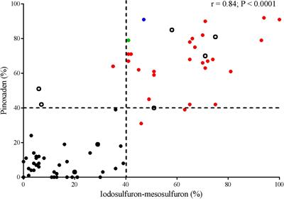 Cytochrome P450 Herbicide Metabolism as the Main Mechanism of Cross-Resistance to ACCase- and ALS-Inhibitors in Lolium spp. Populations From Argentina: A Molecular Approach in Characterization and Detection